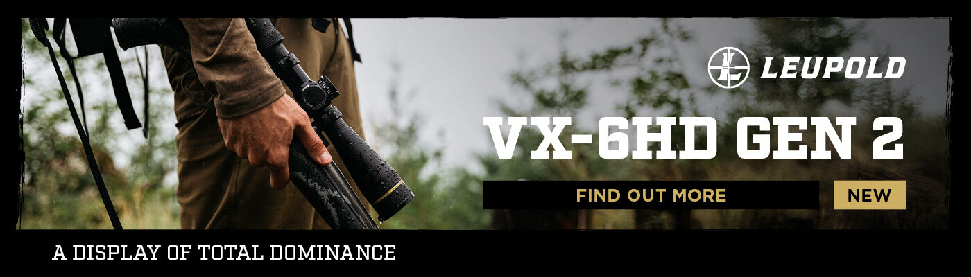 2407 NZ SPORT Leupold VX 6 Gen II DESKTOP