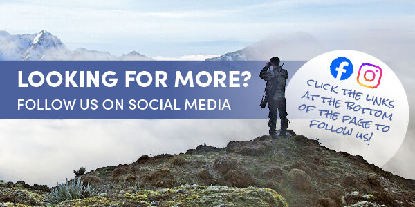 NZ SPORT EDM Campaign consumers Web Mobile 600x300